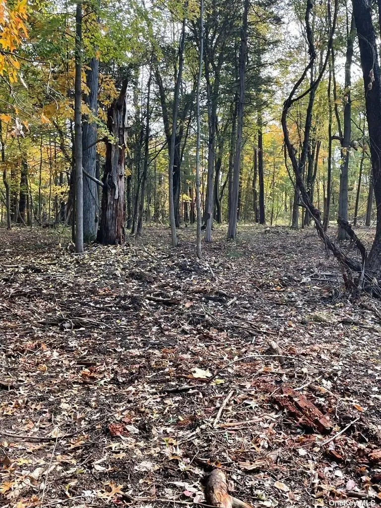 15 Tammy Trail, Sleepy Hollow Lake, NY 12051 - Image #1