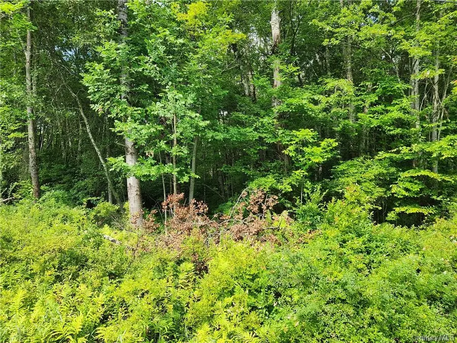 2.-1-32.7 State Route 17b, Cochecton, NY 12726 - Image #3