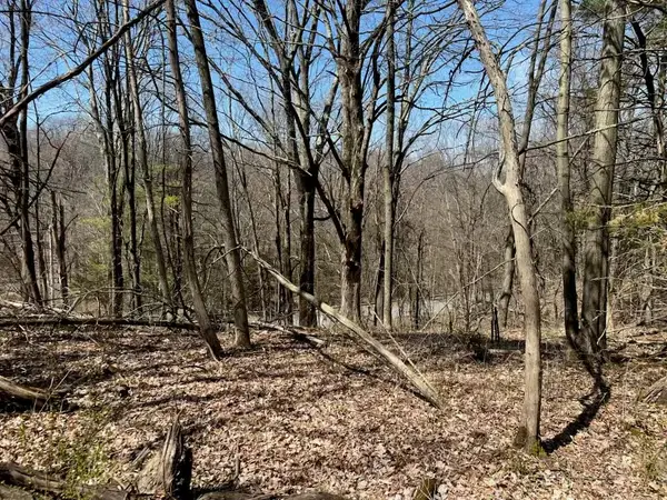 0 Taghkanic, Elizaville, NY 