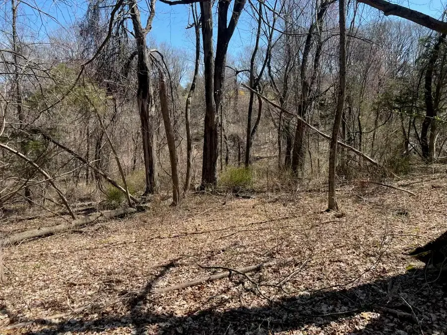 0 Taghkanic, Elizaville, NY  - Image #3