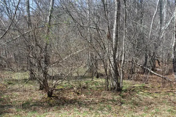 927-943 Briscoe Road, Swan Lake, NY 12783