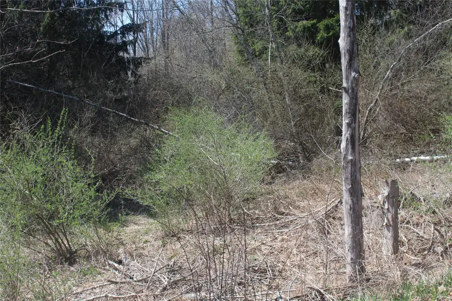 927-943 Briscoe Road, Swan Lake, NY 12783 - Image #2