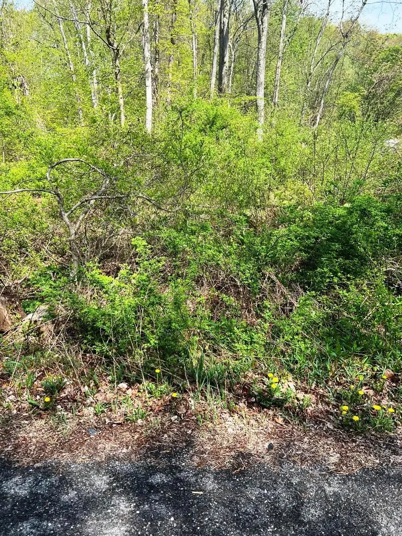 Lot 73 Brookside Road, Putnam Valley, NY 10579 - Image #3