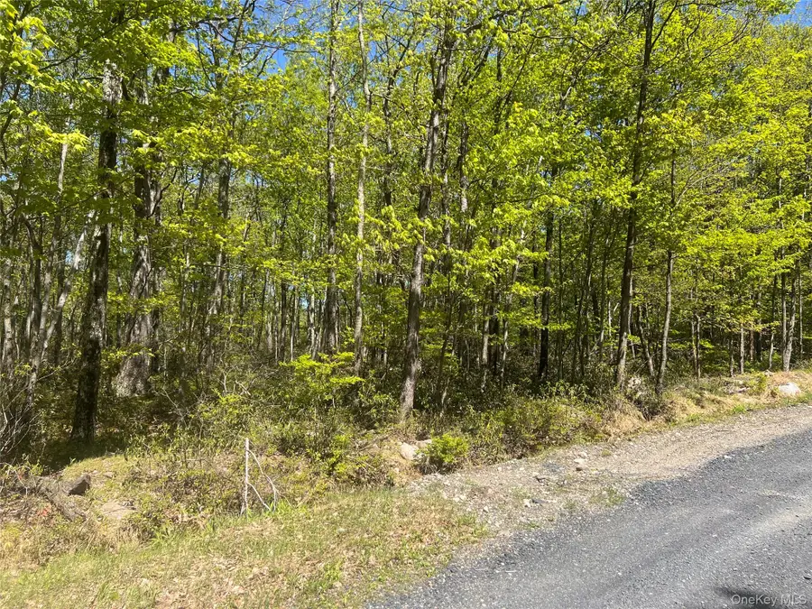 Schneller Lane, Pine Bush, NY 12566 - Image #3