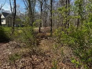 VL Lambert Avenue, Mastic, NY 11950 - Image #3