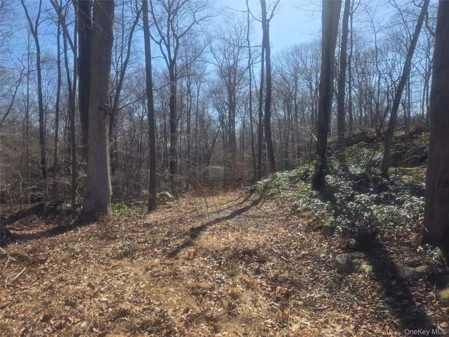 South Road, Holmes, NY 12531 - Image #2