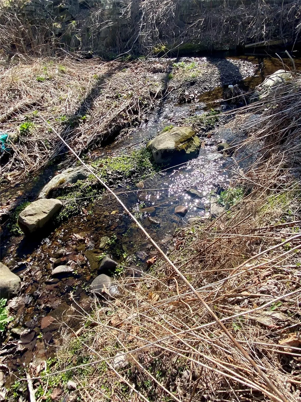 5232 Route 23a, Haines Falls, NY 12436 - Image #1