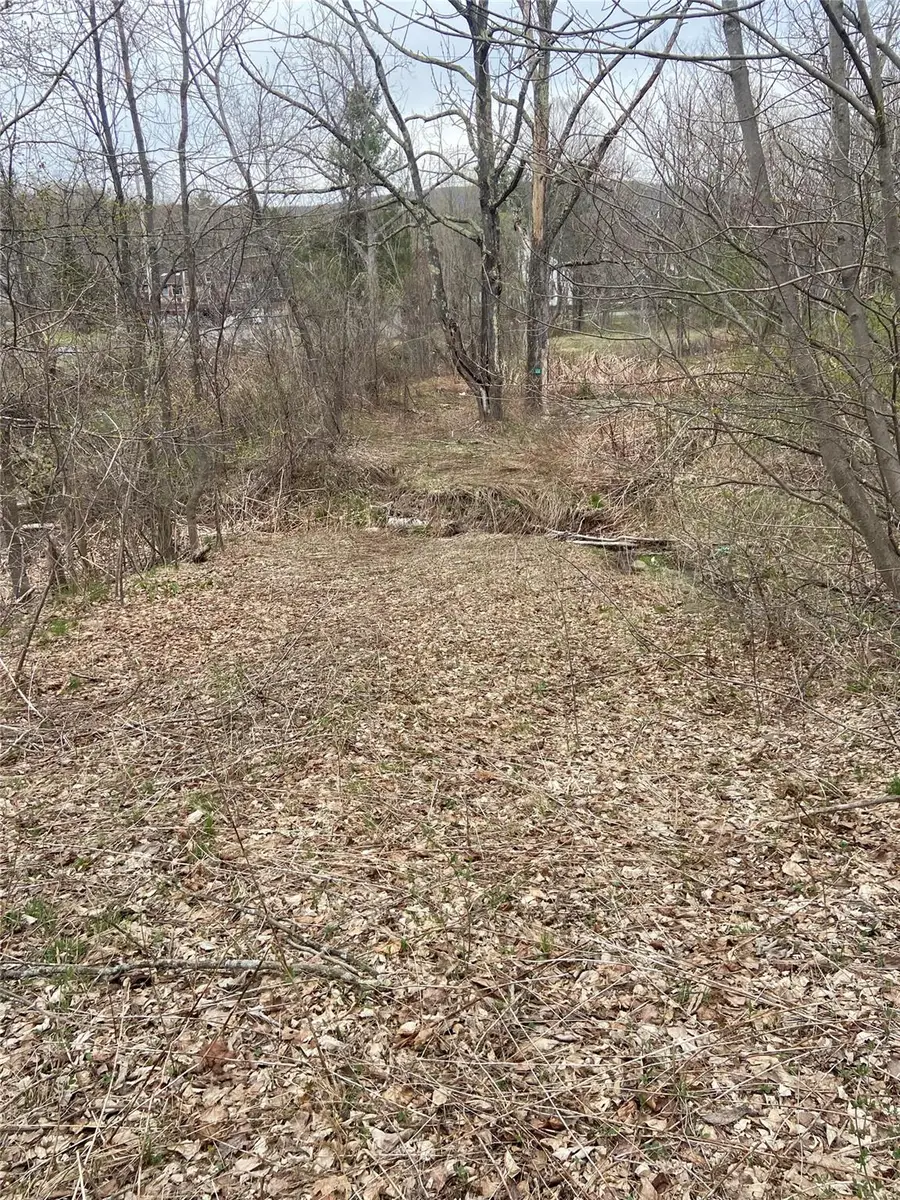 5232 Route 23a, Haines Falls, NY 12436 - Image #3