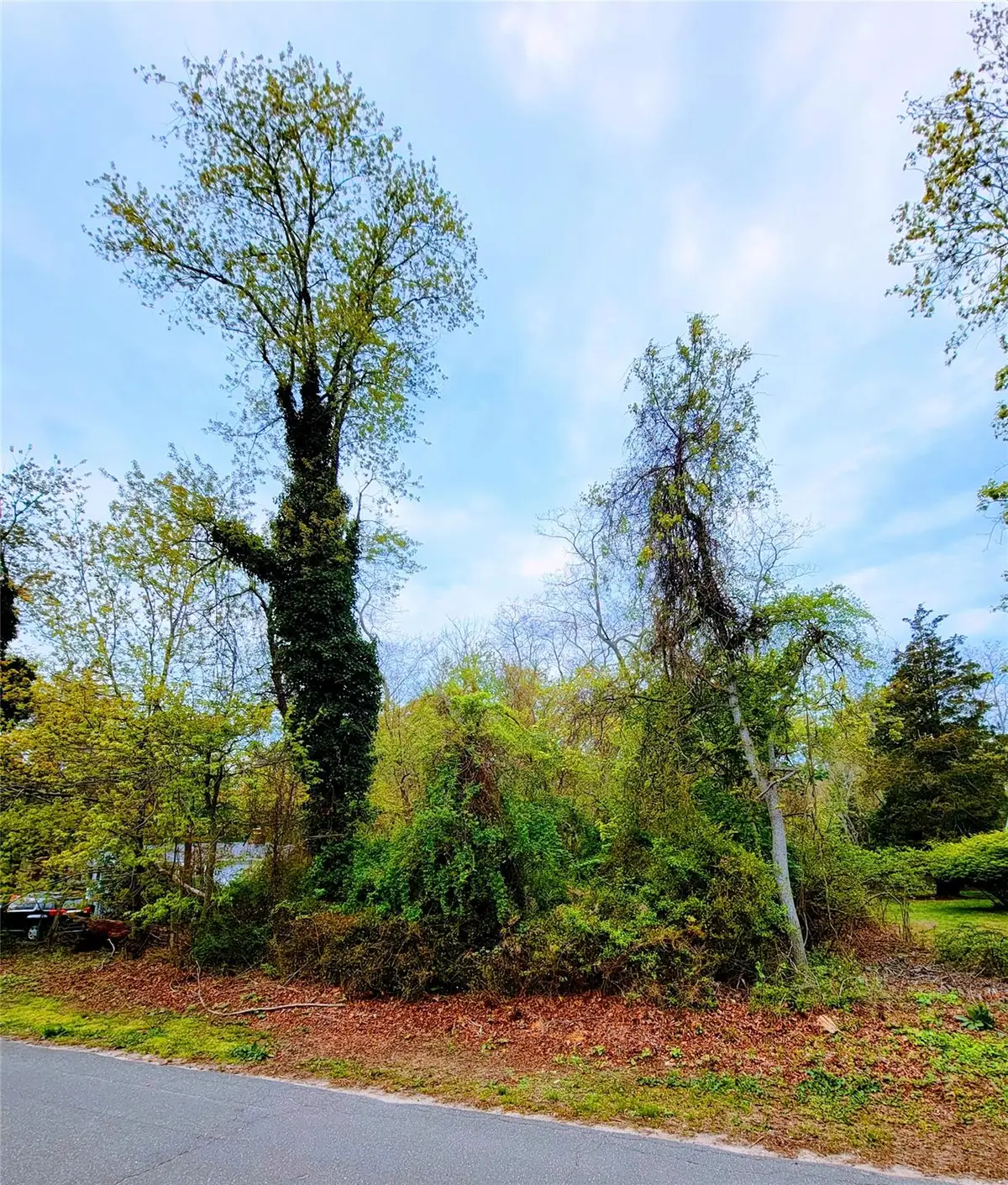 675 Pine Tree Road, Cutchogue, NY 11935 - Image #1