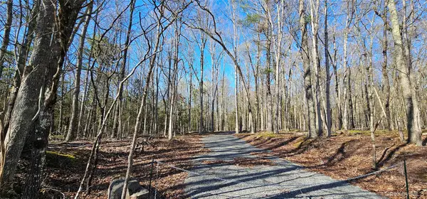 Lot 85 Perry Pond Road, Narrowsburg, NY 12764