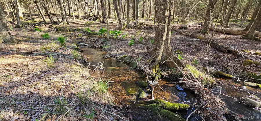 Lot 85 Perry Pond Road, Narrowsburg, NY 12764 - Image #2