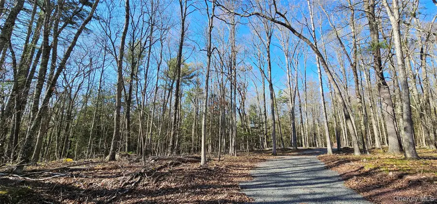 Lot 85 Perry Pond Road, Narrowsburg, NY 12764 - Image #3