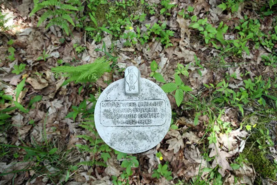 Lot 23 Serenity Drive, Callicoon, NY 12723 - Image #3