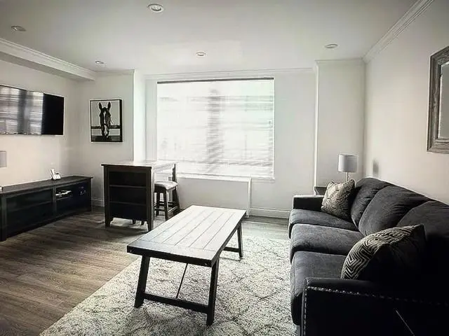 150 W 51 #1032, Manhattan, NY 10019 - Image #3