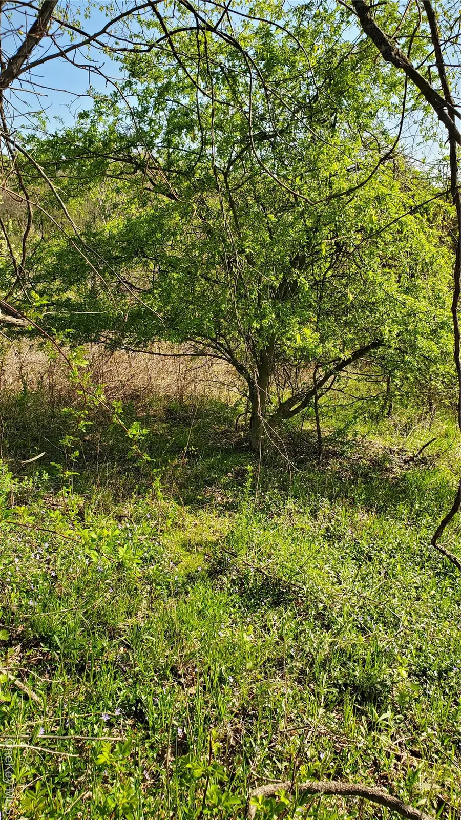 TBD Boice Mill Road, Kerhonkson, NY 12446 - Image #2