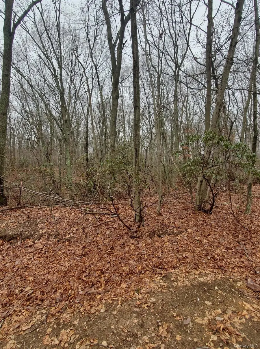 260 Old Mill Road, Saint James, NY 11780 - Image #2