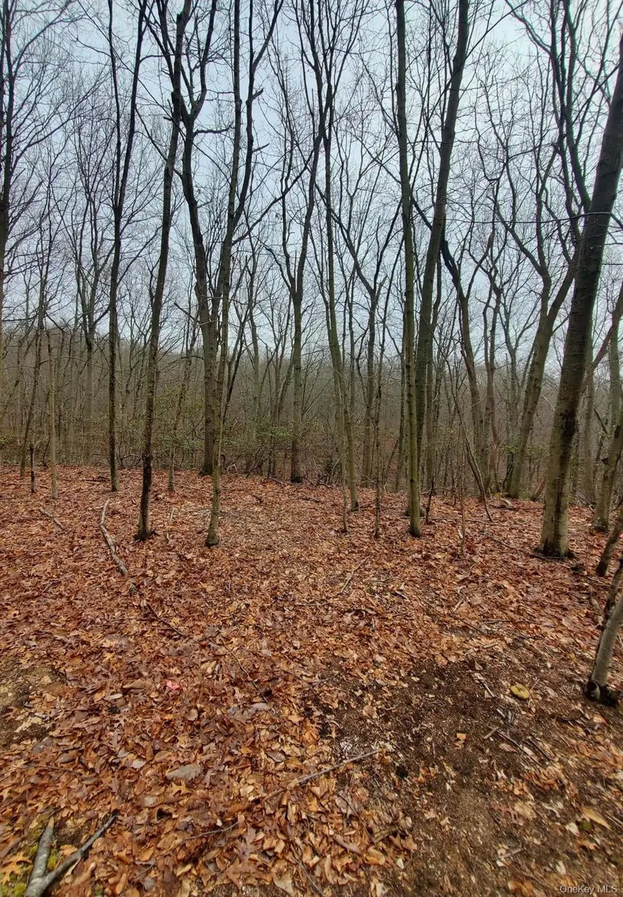 260 Old Mill Road, Saint James, NY 11780 - Image #3