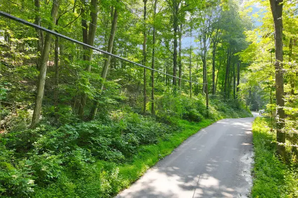 34 Gordon Road, Carmel, NY 