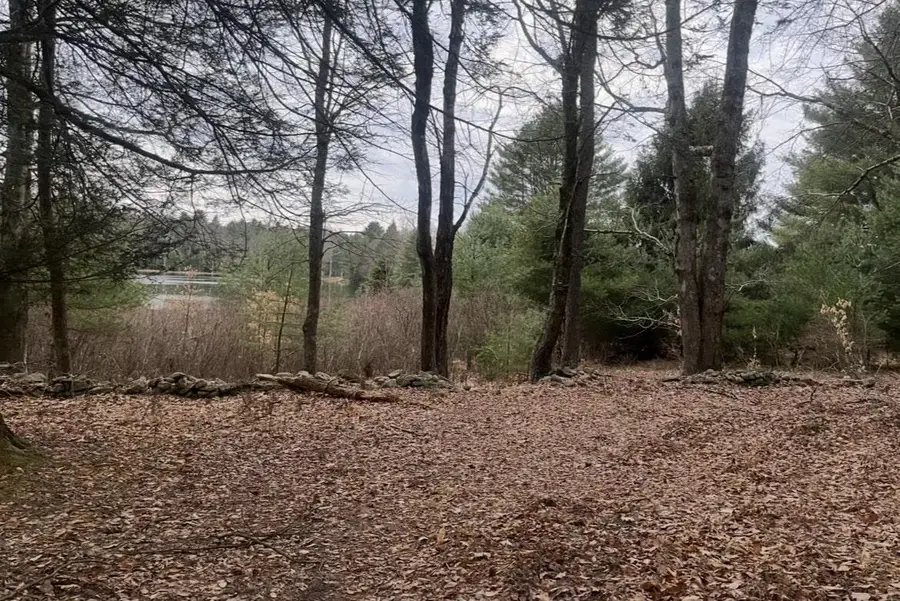 Rt-17b, Bethel, NY 12720 - Image #2