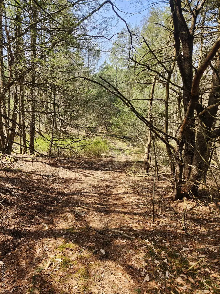 lot 45 4th Circle, Rock Hill, NY 12775 - Image #2