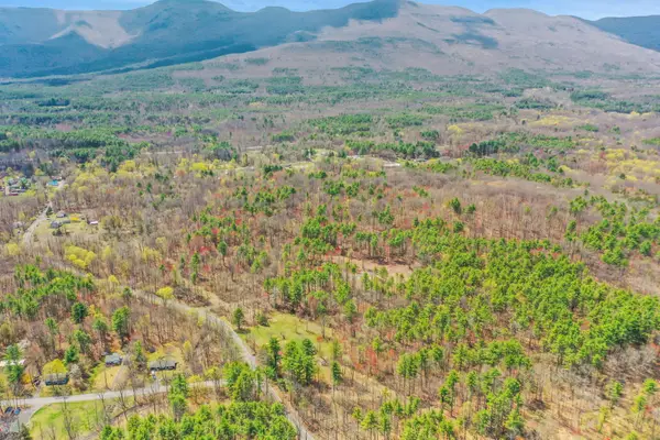 00 Roosevelt Avenue, Cairo, NY 