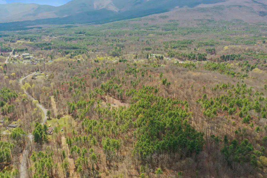 00 Roosevelt Avenue, Cairo, NY  - Image #2