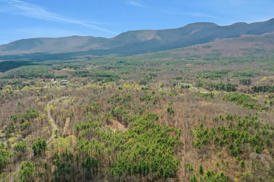 00 Roosevelt Avenue, Cairo, NY  - Image #3