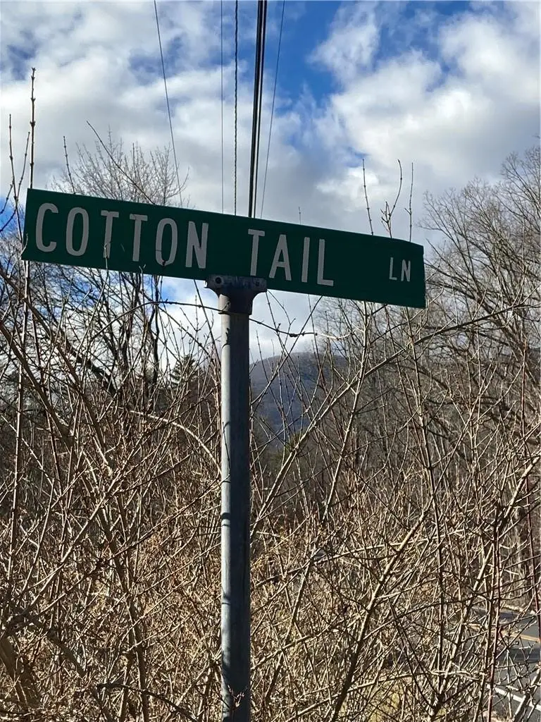 Route 212, Saugerties, NY 12477 - Image #2