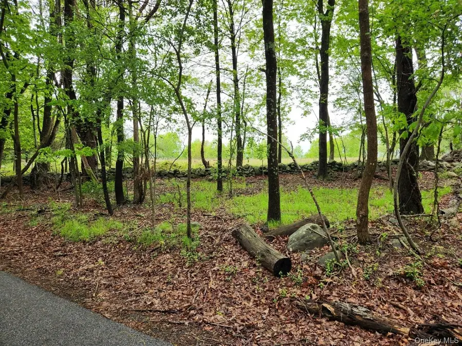 Odyssey Drive, Chester, NY 10918 - Image #3