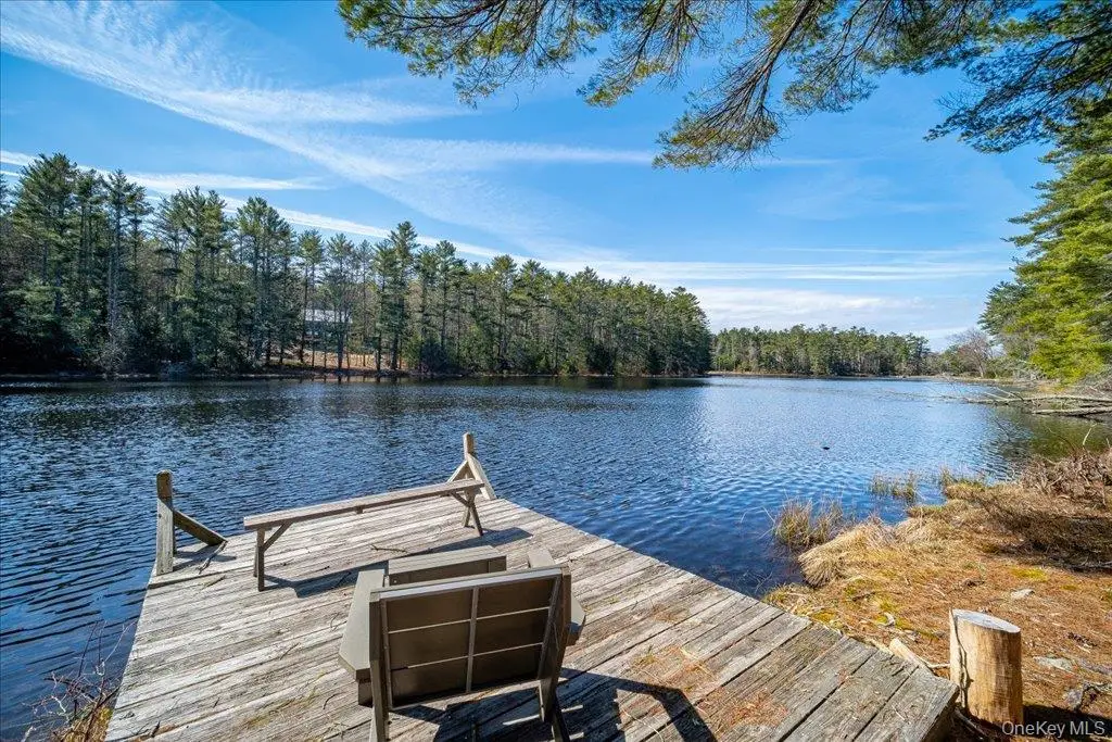 62 Stag Forest Road, Forestburgh, NY 12777 - Image #1