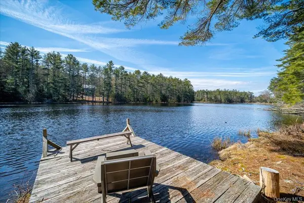 62 Stag Forest Road, Forestburgh, NY 12777