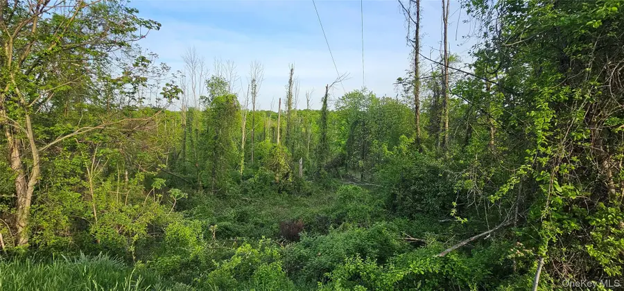 Old Mountain Road, Otisville, NY 10963 - Image #3