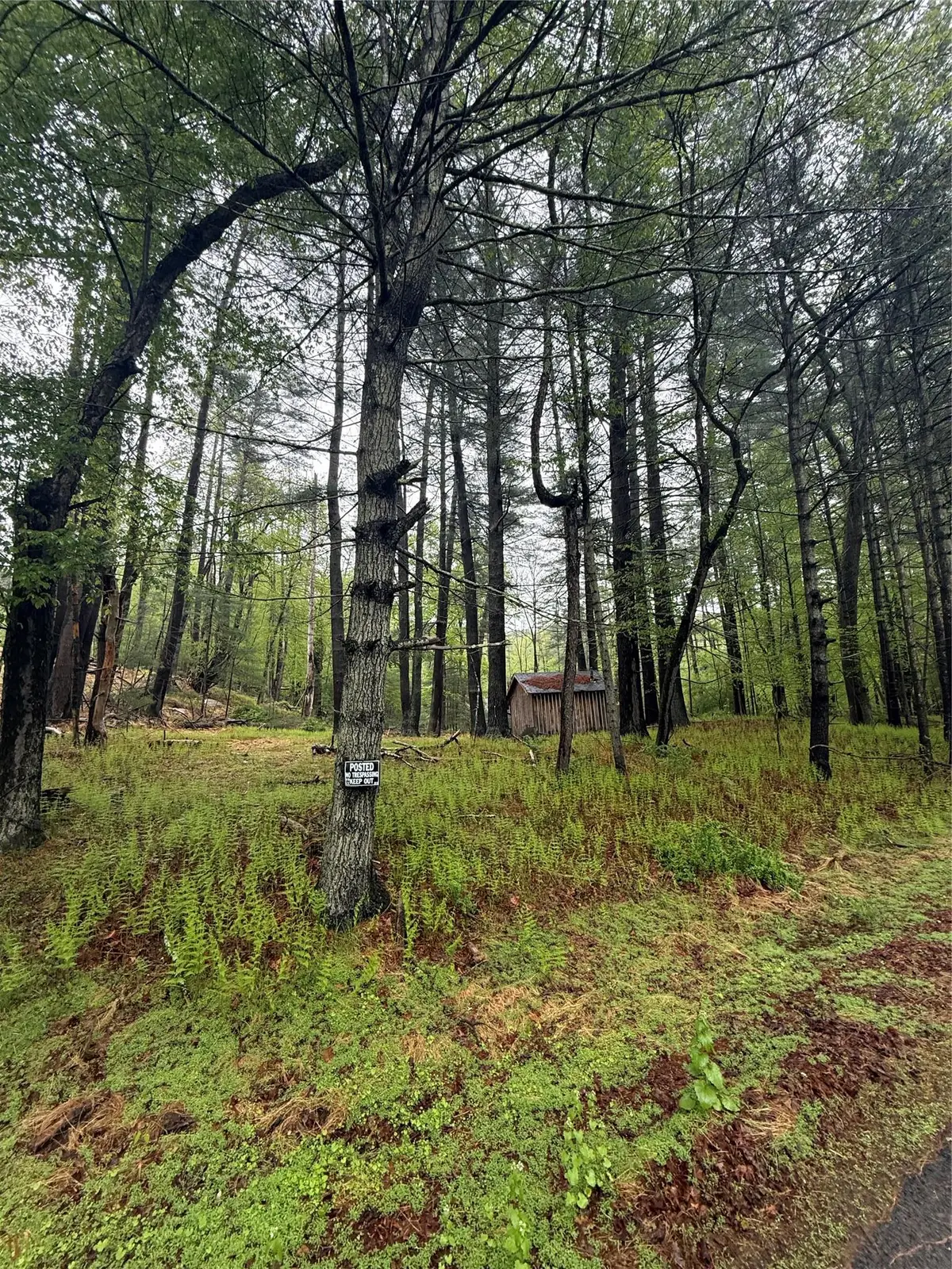 Hankins, Narrowsburg, NY  - Image #1