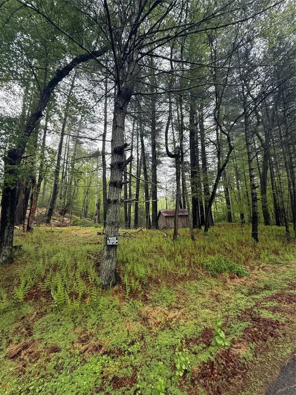 Hankins, Narrowsburg, NY 