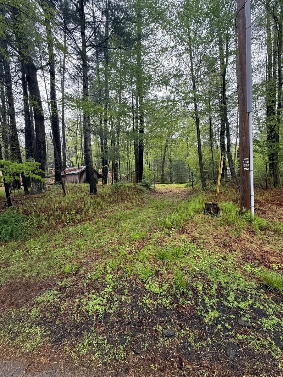 Hankins, Narrowsburg, NY  - Image #2