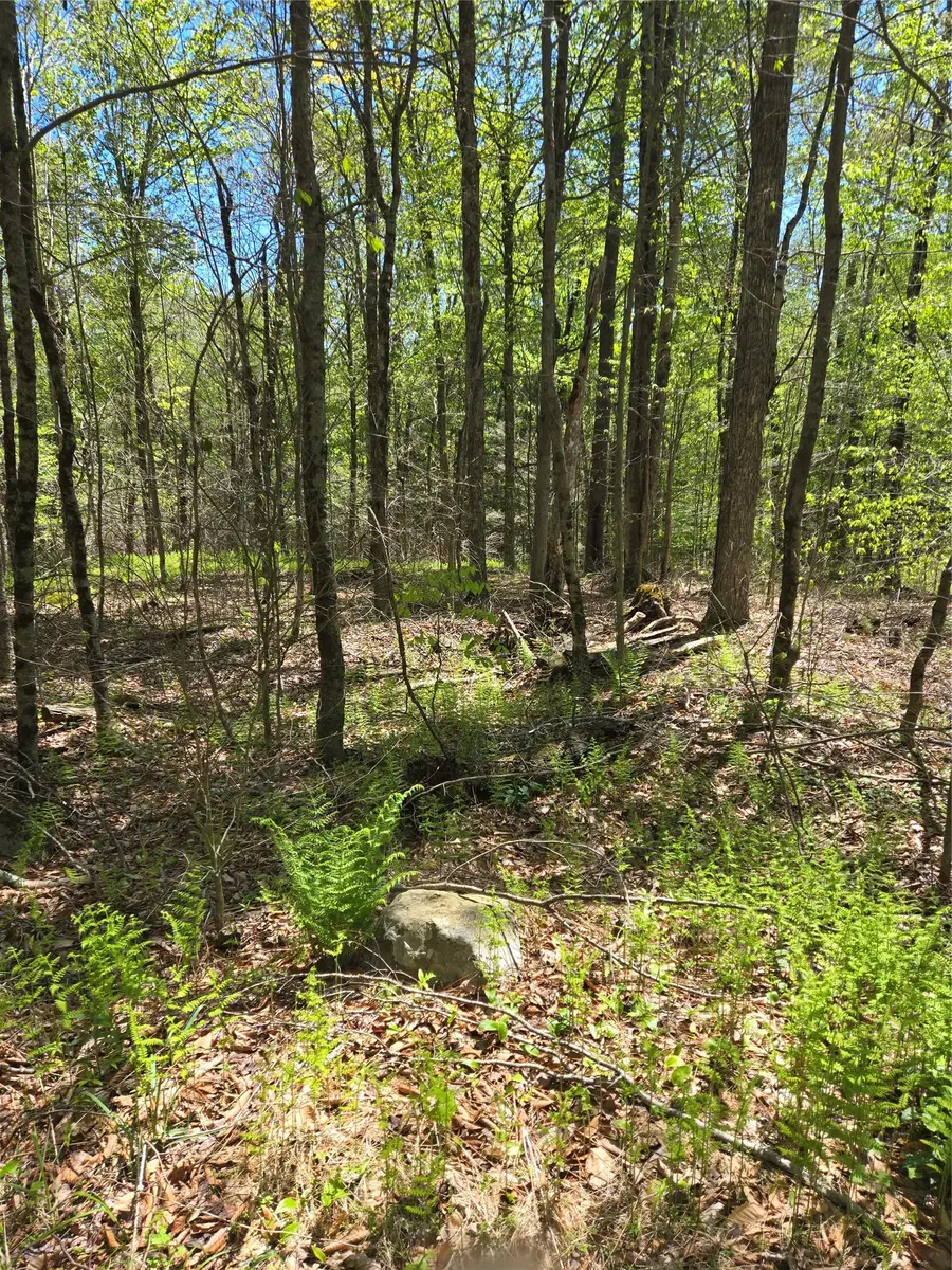 0 Dill Road, Forestburgh, NY 12777 - Image #2