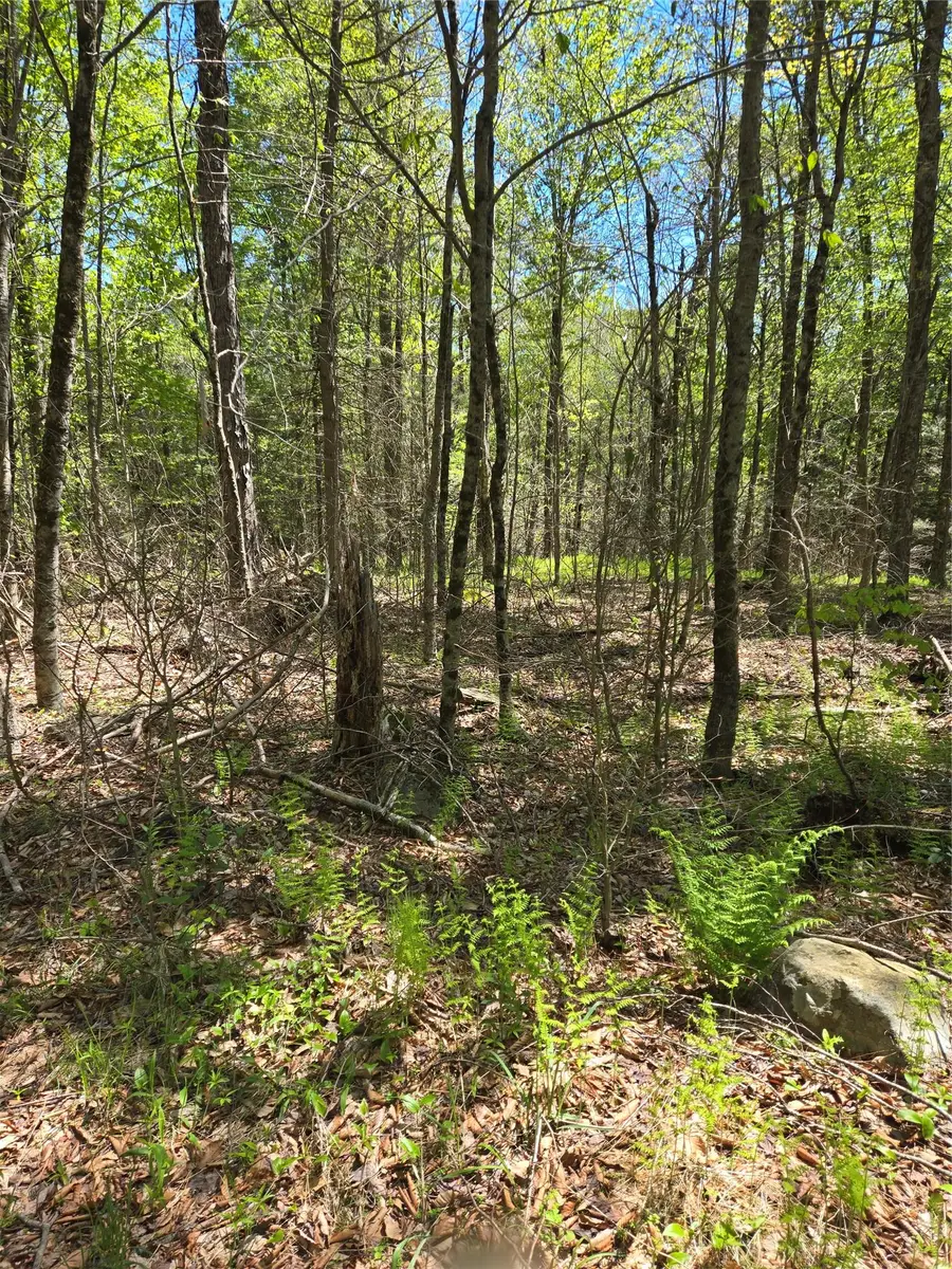 0 Dill Road, Forestburgh, NY 12777 - Image #3