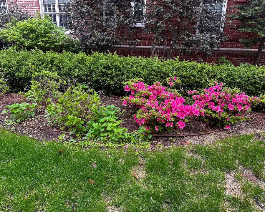 160 Cabrini Boulevard #62, New York, NY 10033 - Image #2