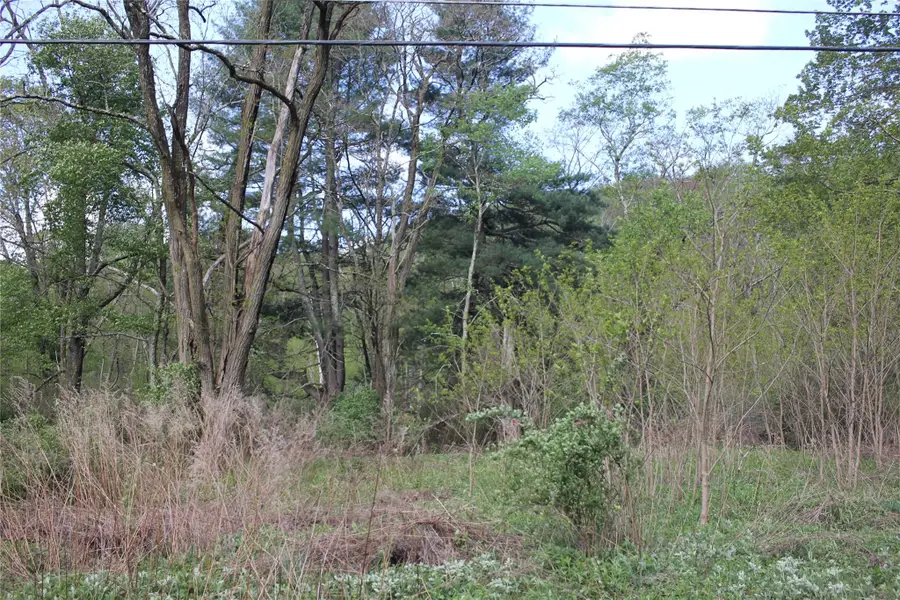 53 Menges Road, Livingston Manor, NY 12758 - Image #3