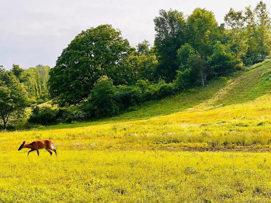 Lot 4 Westerly Ridge Drive, Amenia, NY 12501 - Image #3