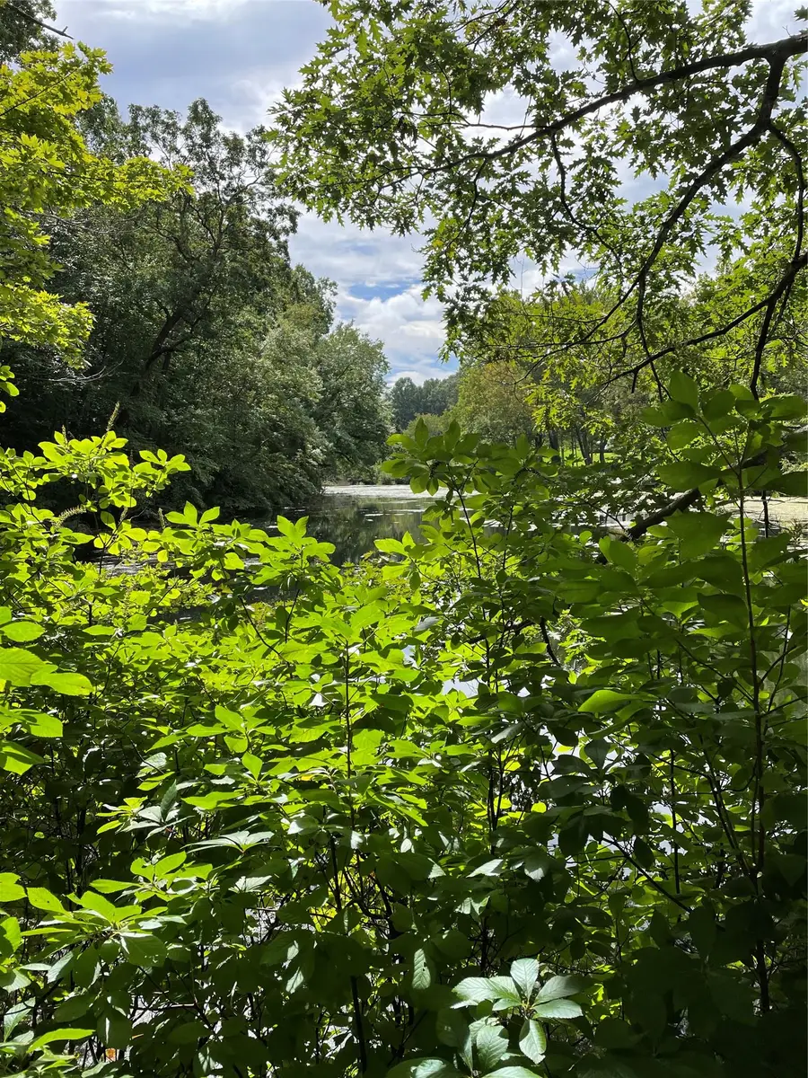 no numer Cleft Road, Mill Neck, NY 11765 - Image #2