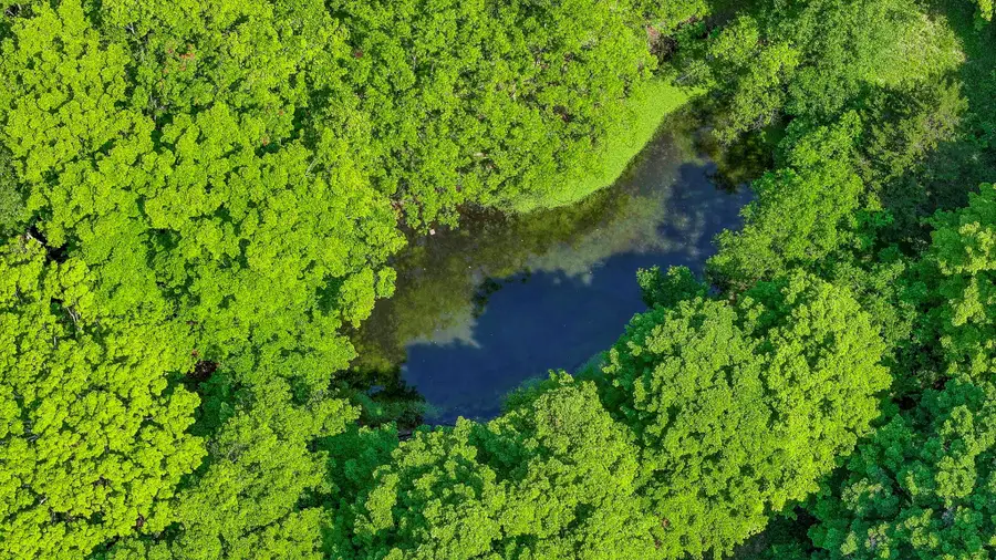 553 Roosa Gap Road, Bloomingburg, NY 12721 - Image #3