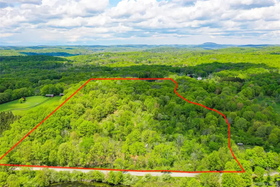 Parcel 1 - TBD Woodstock Road, Millbrook, NY 12545 - Image #3