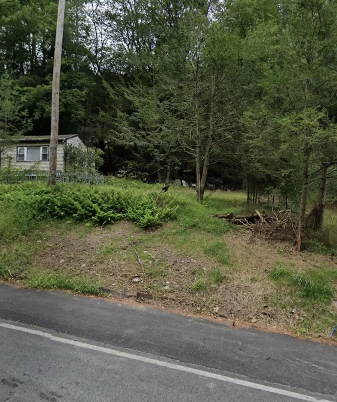 32 Highland Lake Road, Eldred, NY 12732 - Image #1