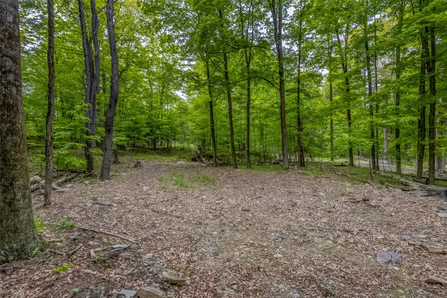 Mossy Hill Road Road, Catskill, NY 12414 - Image #3