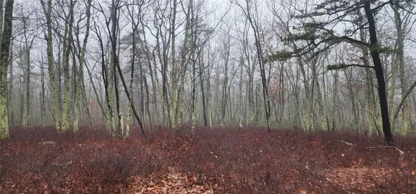 Peewee Trail, Wurtsboro, NY 12790