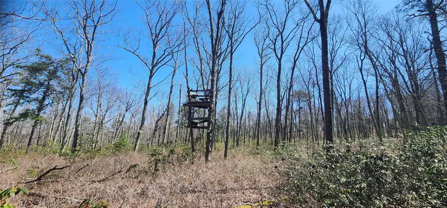 Peewee Trail, Wurtsboro, NY 12790 - Image #2