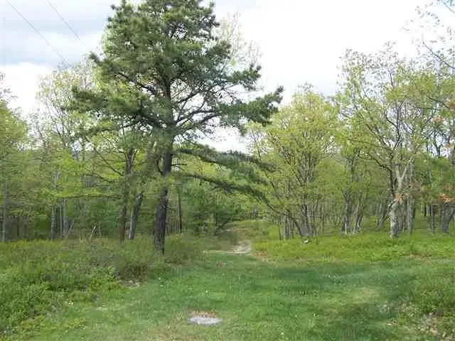 New Road, Wurtsboro, NY 12790 - Image #2