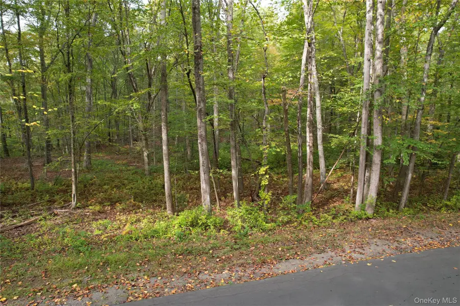 Brook Farm Road, Pound Ridge, NY 10576 - Image #2