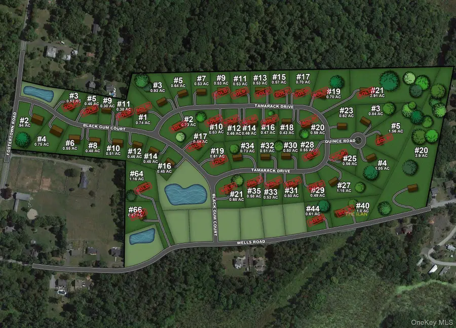 10 Black Gum Court, Newburgh, NY 12550 - Image #3